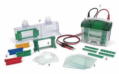 1-Electrophoresis components 1. Lid and tank 2. Combs 3. Spacer plates 4.