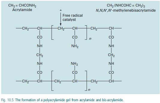 2-Polyacrylamide gel [Acrylamide stock]: - The polyacrylamide gel is formed by copolymerization of acrylamide and a crosslinking By N,N