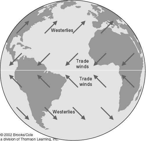 Surface Circulation The westerlies and the trade winds are two of the winds that drive the ocean s surface currents. 1 Key Ideas Ocean water circulates in currents.