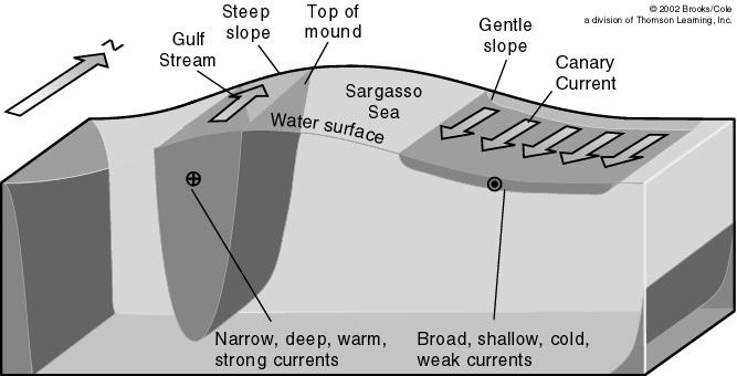 Currents Within Gyres Eastern boundary currents cold, shallow, broad and slow currents on the eastern sides of ocean basins; their boundaries are not well defined.
