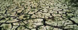 Droughts are natural hazards Droughts can affect our day to day life and the socioeconomic impacts can last for years Drought?