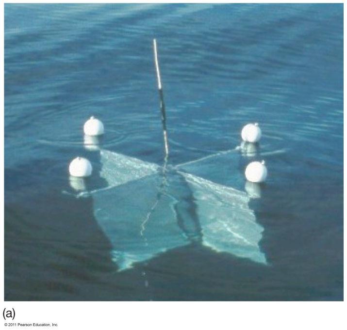 Measuring Surface Currents Direct methods