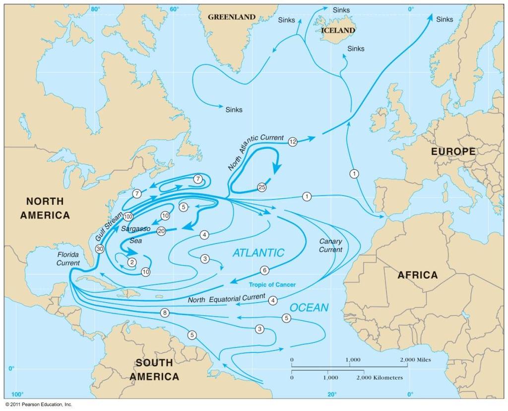 Atlantic Ocean Circulation North Atlantic Subtropical Gyre North Equatorial Current Gulf Stream