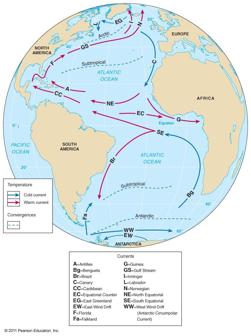 Atlantic Ocean Circulation South Atlantic Subtropical Gyre Brazil