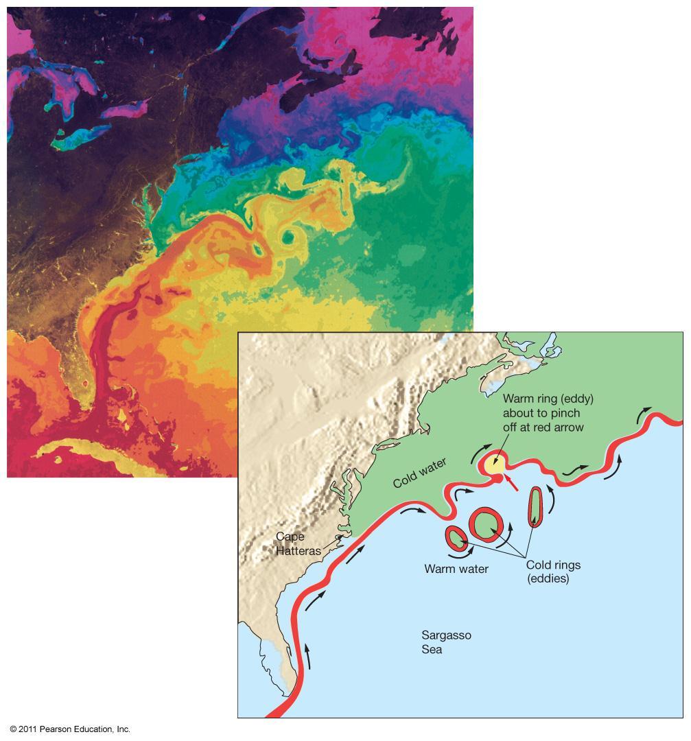 Gulf Stream Meanders or loops may cause loss of water volume and