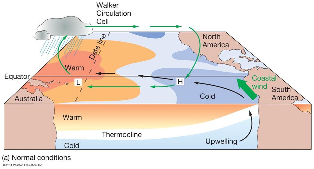 Atmospheric-Ocean Connections in the Pacific Ocean Normal