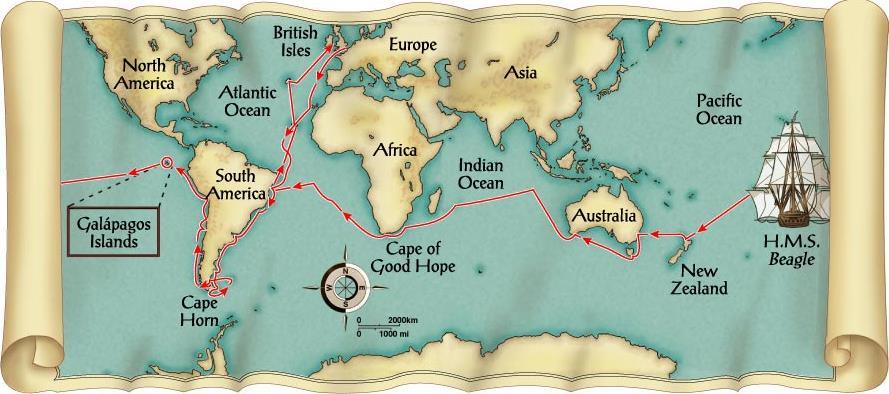 The map below shows the route of the HMS beagle: England, South