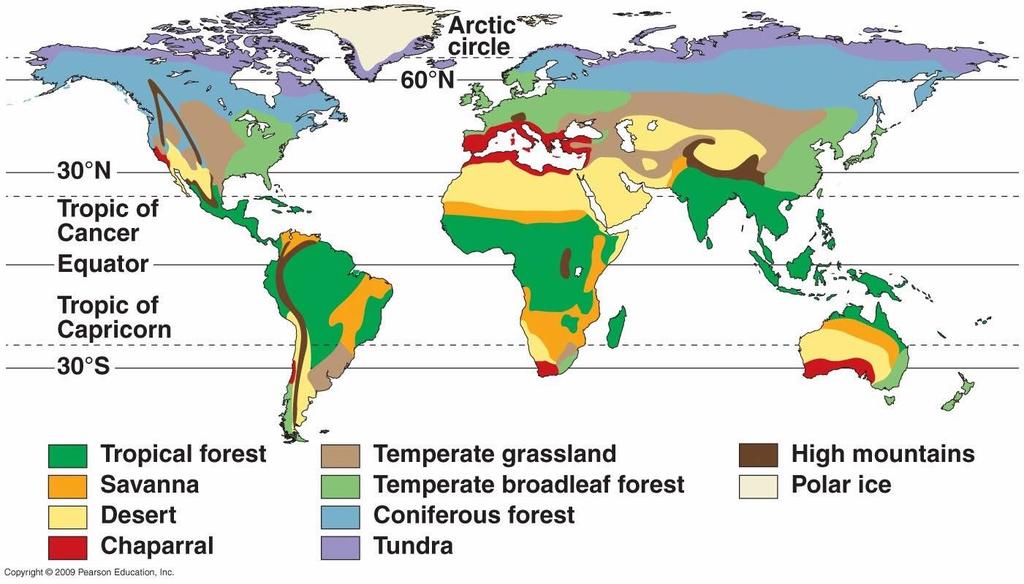 11. What are the biomes like? deciduous Tropical Rainforests near the equator. High temp and rainfall. 50% of the World plants and animals come from the rainforest. Large, tall trees.