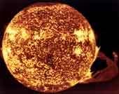 Solar Activity Prominences are arcs