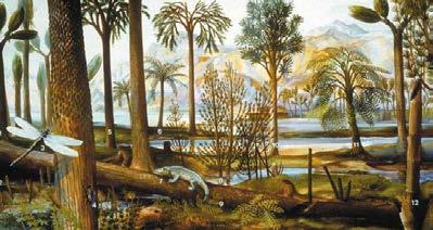 amphibians, insects Paleozoic ("Old life") Era =