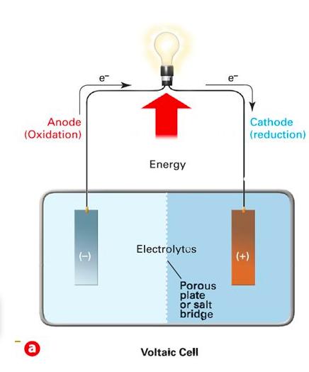 (-) Anode = Cathode = Cathode = Reduction Negative (-) Electrons flow from anode to cathode Use electrical