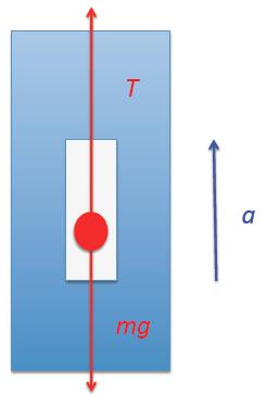 17) A box with a mass of 10 kg is suspended by a cable in an elevator that is moving up with an acceleration of 1.2 m/s². What is the tension in the cable?