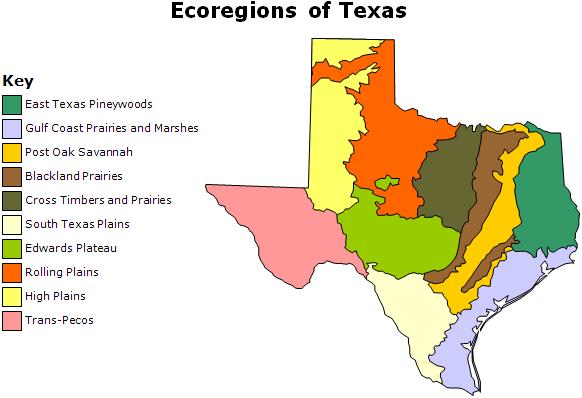 Comment On Lesson Changes in Texas Ecoregions The state of Texas can be divided into 10 distinct areas based on unique combinations of vegetation, topography, landforms, wildlife, soil, rock,