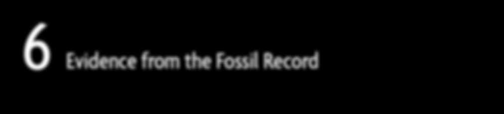 6 Evidence from the Fossil Record Th e f o s s i l r e c o r d includes all of the fossils that have existed in the 4.5 billion years of earth s history whether they have been discovered or not.