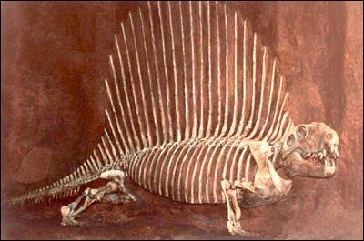 Fossils Fossils are usually found in sedimentary rocks.