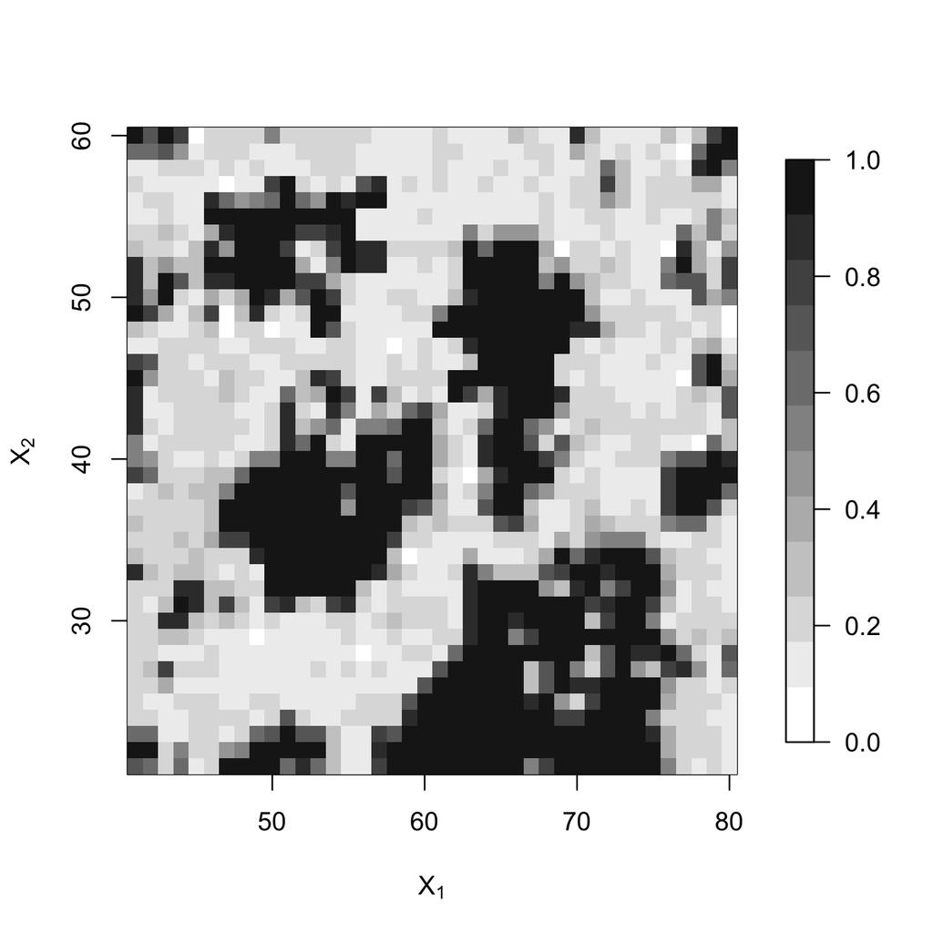2D Ising models (a) Original Image (b) Focused Region of Image