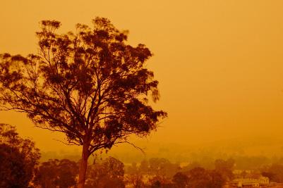 The AIR Bushfire Model for Australia In February 2009, amid tripledigit temperatures and drought conditions, fires broke out just north of Melbourne, Australia.