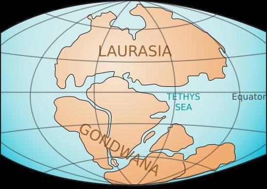 The Ordovician-Silurian First was the movement of the supercontinent of Gondwana.