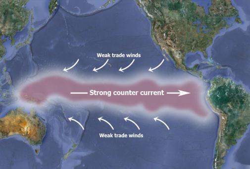 The global wind patterns cause the surface currents to form in the uppers layer of the ocean.