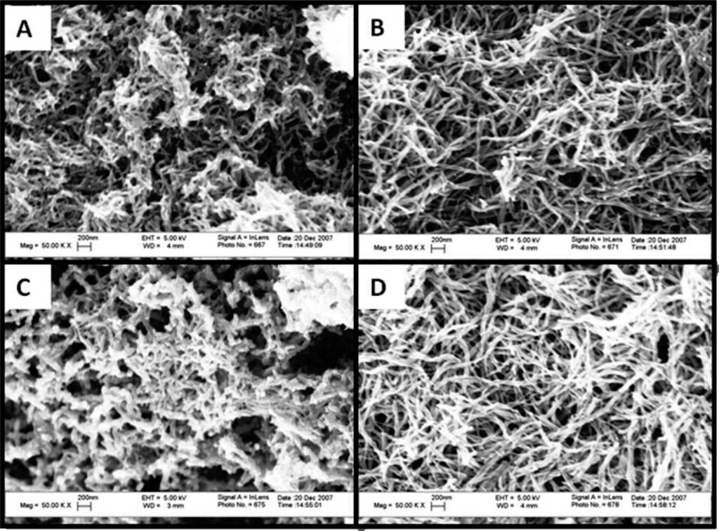 Polyaniline Nanofiber Synthesis Chem. Mater., Vol. 20, No. 15, 2008 4809 Figure 1. SEM of polyaniline obtained in different temperatures. (A) Control at room temperature.