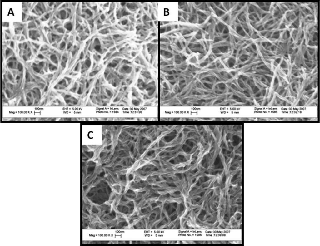 4810 Chem. Mater., Vol. 20, No. 15, 2008 Rahy et al. Figure 2. SEM of polyaniline fibers obtained in different concentrations of aniline: (A) 0.1 M, (B) 0.2 M, and (C) 0.5 nm. Figure 3.