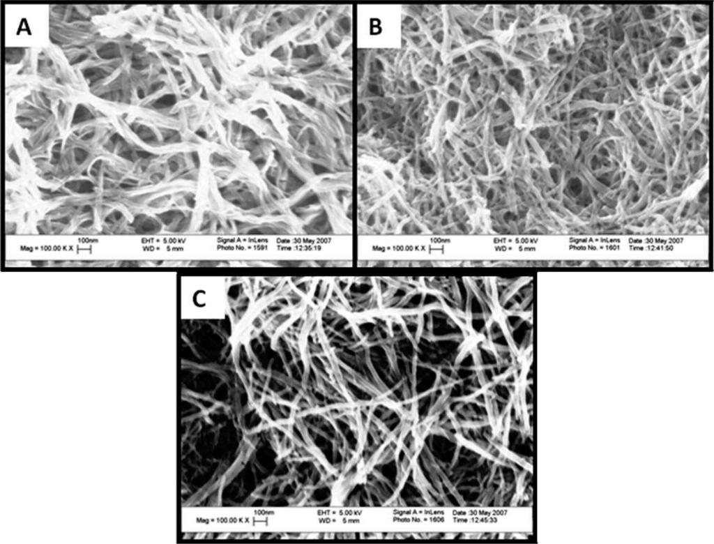 4812 Chem. Mater., Vol. 20, No. 15, 2008 Rahy et al. Figure 6. SEM images of polyaniline obtained in 1 ml of aniline, 0.