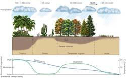 Factors That Control Soil Formation Factors That Control Soil Formation Types of soils: Humid Forest Climate - the most important factor in soil formation