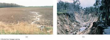 Soil Degradation Soil erosion is caused mostly by sheet and rill erosion.