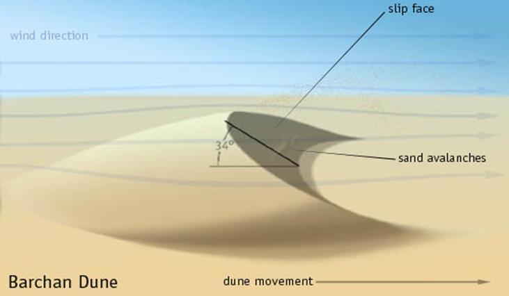 Windward side: gentle slope; leeward side steeper slope