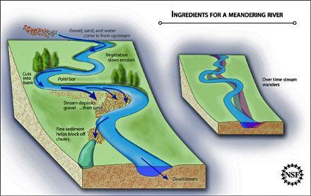 Mature streams: have less steep gradients carry