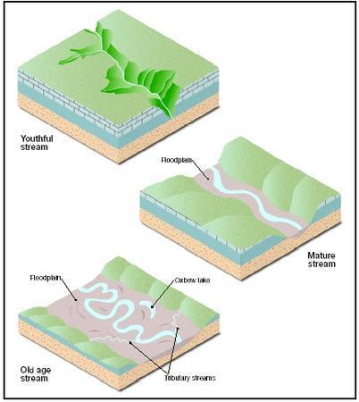 A drainage basin is formed when: precipitation falls on mountains and runs down slopes in small streams streams combine to former larger streams and