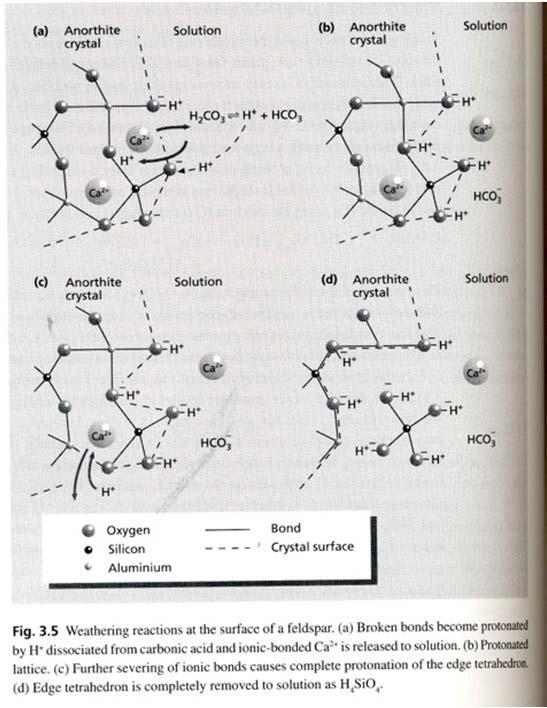 6. Complexation Organic acids associate (chelate) with Al +++