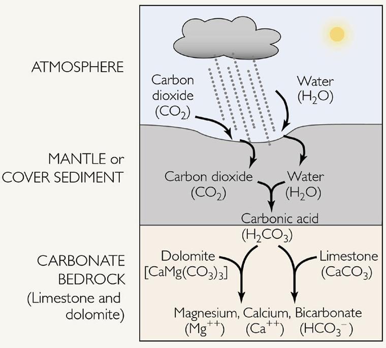 b) Carbonation When water reacts with carbon dioxide it forms carbonic acid.