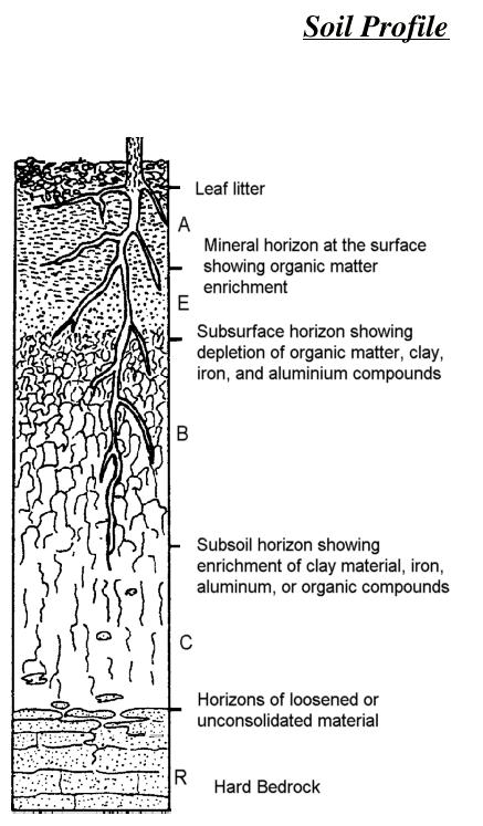 Generalized soil