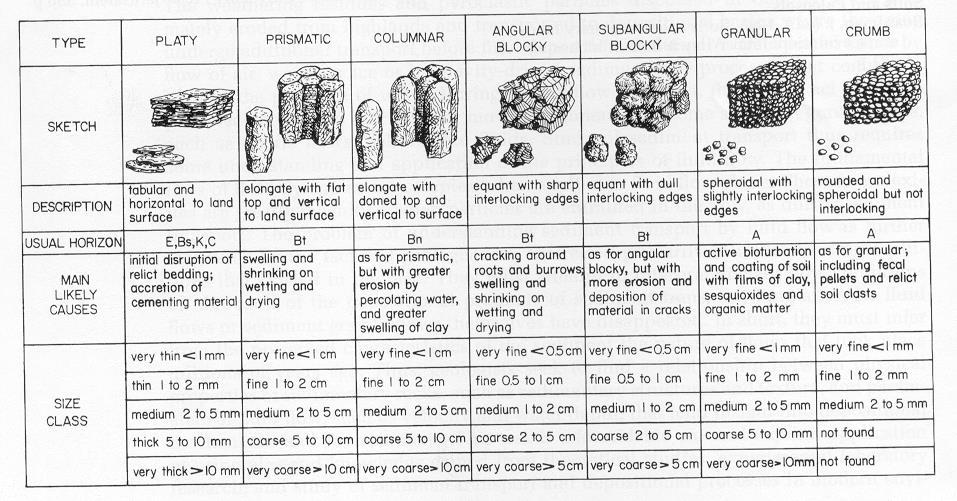 Soil structures: peds
