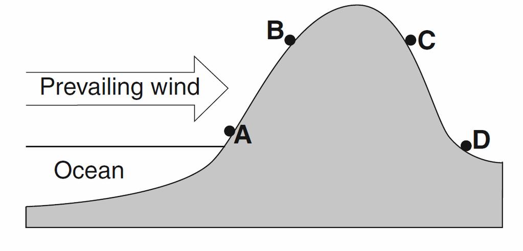 The cross section below represents four locations on a mountain. The arrow indicates the prevailing wind direction.