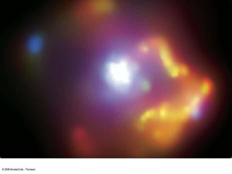 Chapter 11: Neutron Stars and Black Holes A supernova