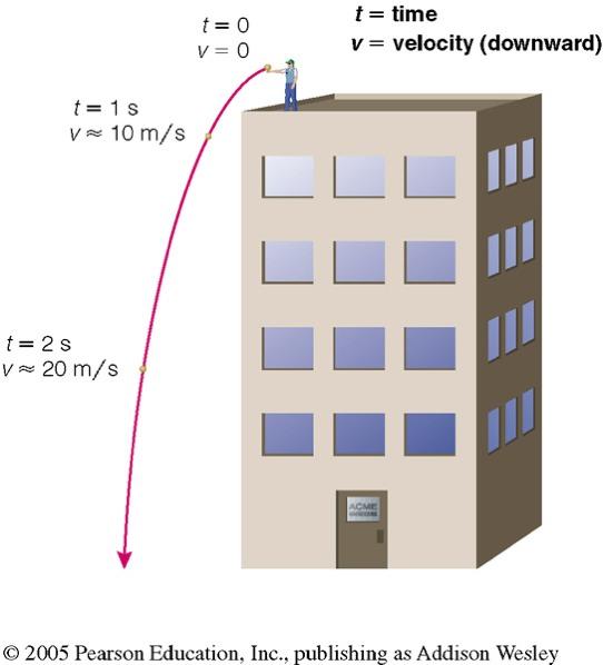 The Acceleration Due to Gravity All falling objects accelerate at the same rate (not counting air resistance)