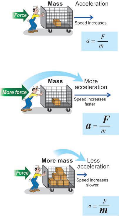 Figure 5.7: More force causes more acceleration, and more mass causes less acceleration 5.3 Newton s Third Law Newton s first and second laws apply to the motion of an individual object.