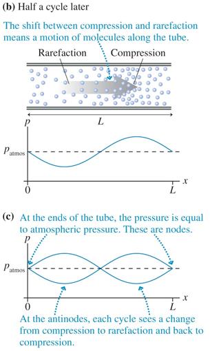 Standing Sound Waves in a Tube