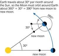 9/6/05 10:13 AM Synodic Versus Sidereal Month As we discussed in Chapter 2, our month comes from the Moon's 291 2-day cycle of phases (think moonth ).