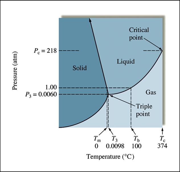 Phase Diagrams Show states of matter relative to temperature and pressure. Critical Point Fluid forms. Temp.