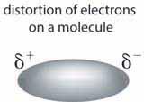 Section 2 Intermolecular Forces in Solids, Liquids, and Gases In the liquid phase, the particles are still attracted to each other and are still in contact with each other.