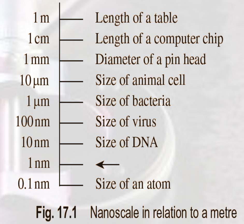 Introduction Nanometrology is the science of measurement at the nanoscale level. Figure illustrates where nanoscale stands in relation to a meter and sub divisions of meter.