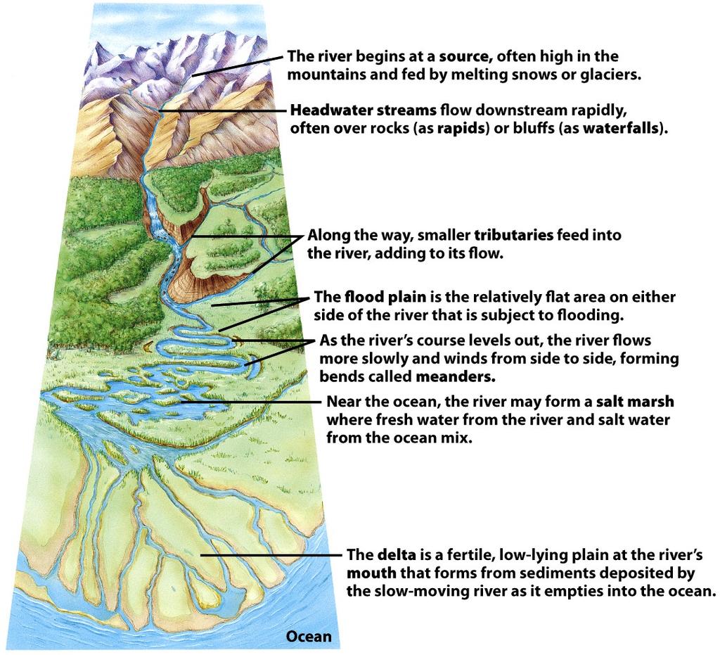 Aquatic Ecosystem Fundamental Division Freshwater Saltwater Aquatic Ecosystems also affected by Dissolved oxygen level, light penetration, ph, presence/absence of currents Three main ecological