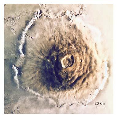 Volcanism on Mars Mars has many large shield