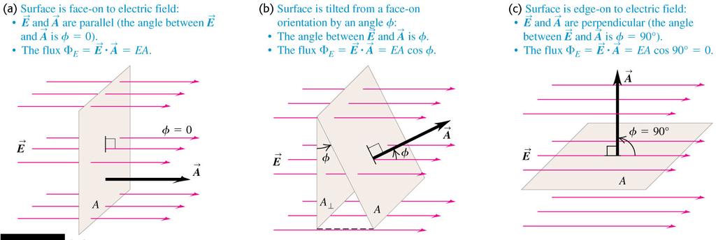 Calculating electric flux Consider a flat area A perpendicular to a uniform electric field E.