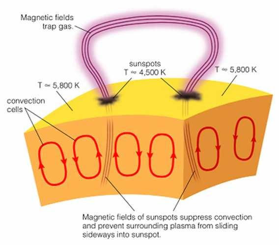 Sunspots Theory Theory is magnetic