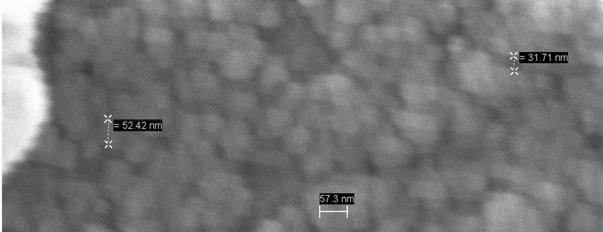 31 Fig 4 (A-B): SEM analysis of Gold Nanoparticles 3.