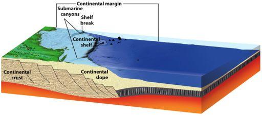 The Continental Margin Continental Shelf: the flat, submerged edges of continents Continental Slope: